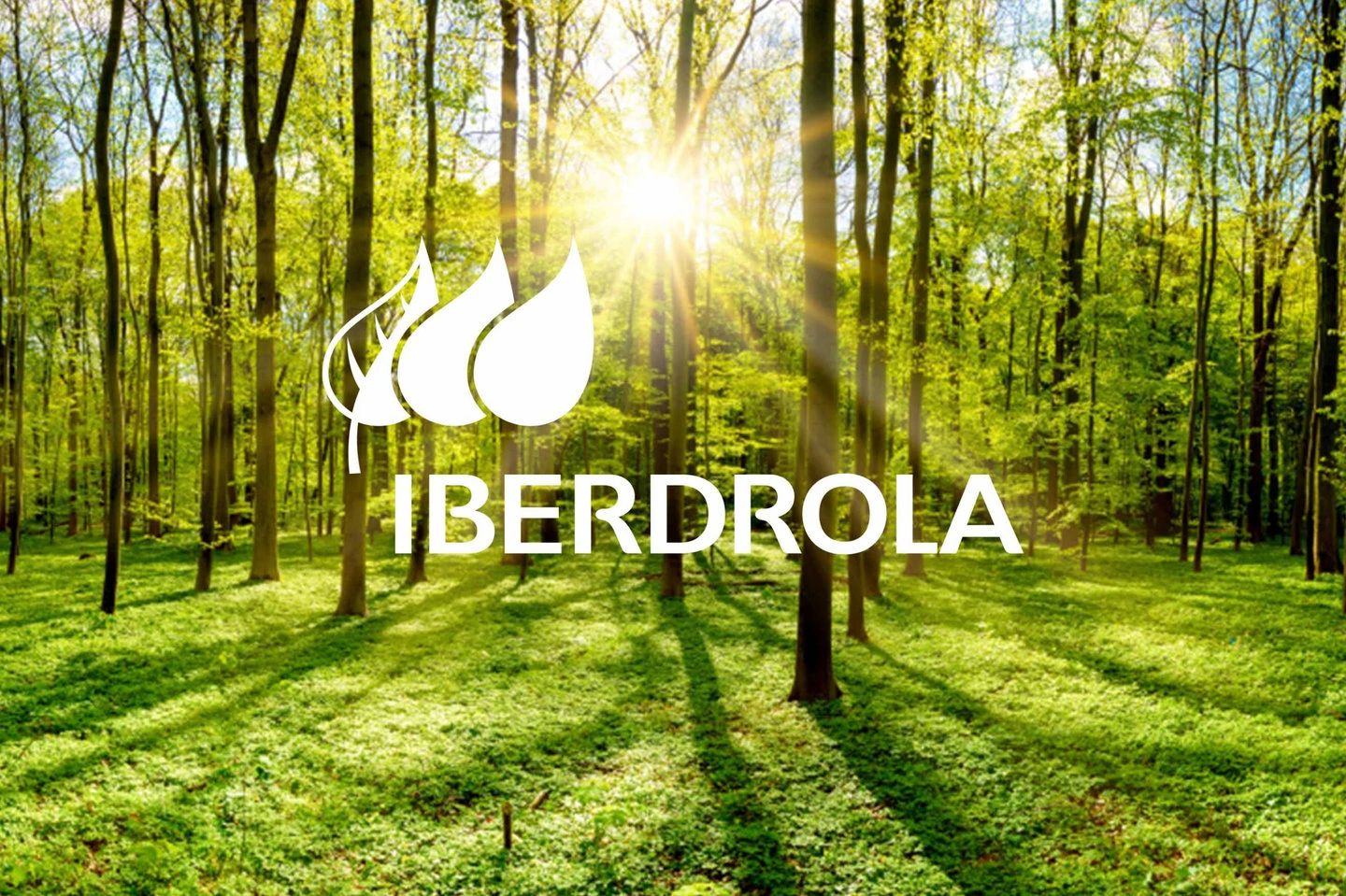 Iberdrola