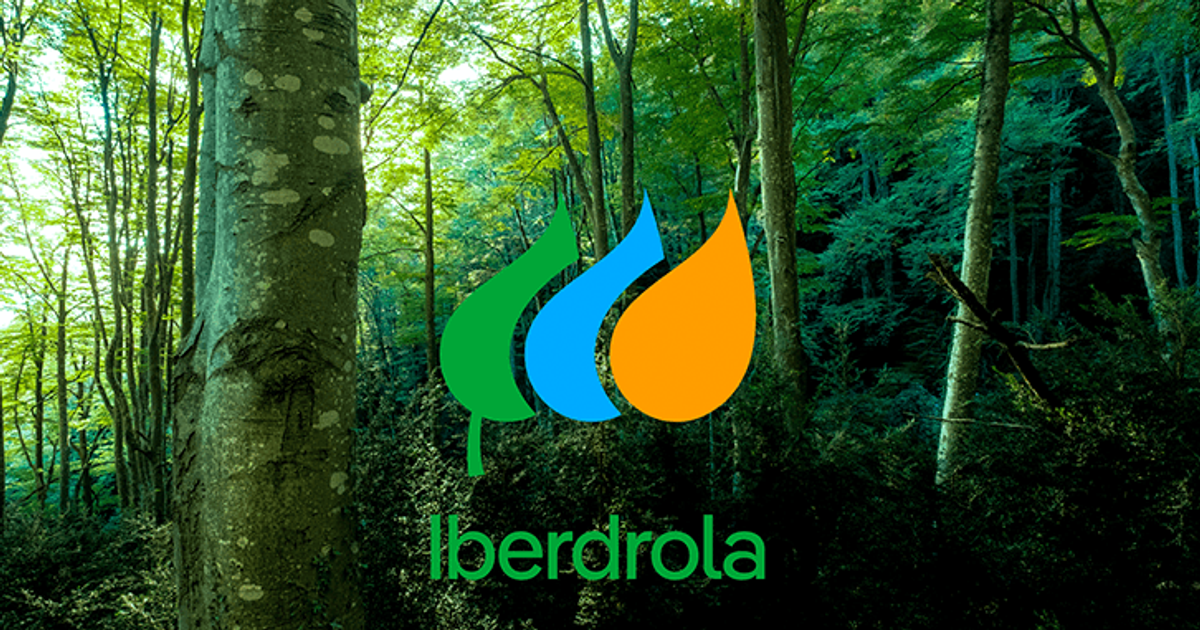 Iberdrola