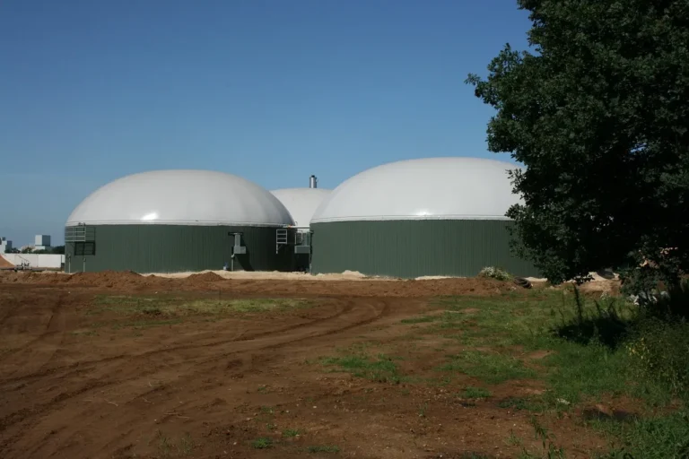 Biogas