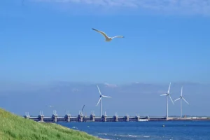 Offshore Wind