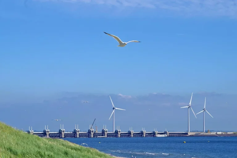 Offshore Wind