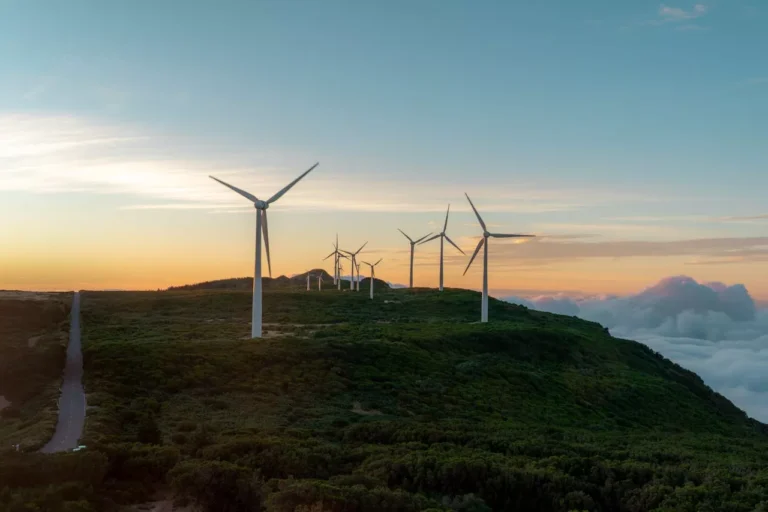 Renewable Energy