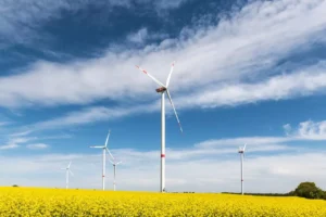 Iberdrola