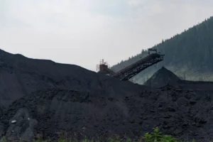 Coal