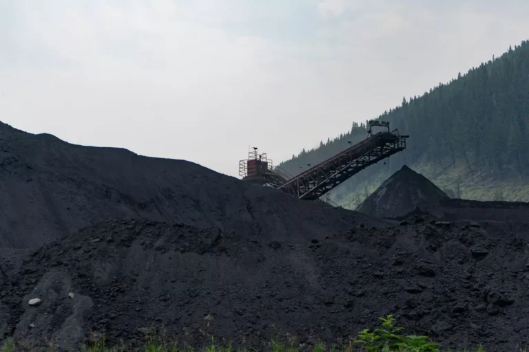 Coal